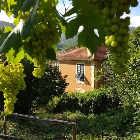 Casa Del Priore Sestri Levante