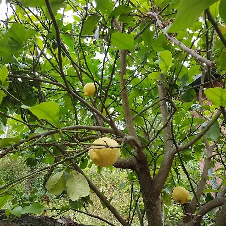 Couette-café Casa Del Priore Sestri Levante