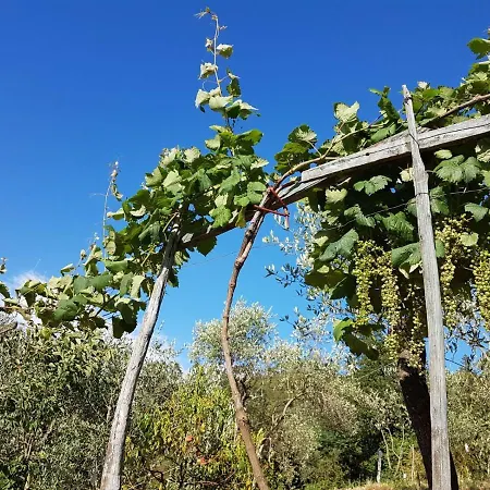 Casa Del Priore Couette-café