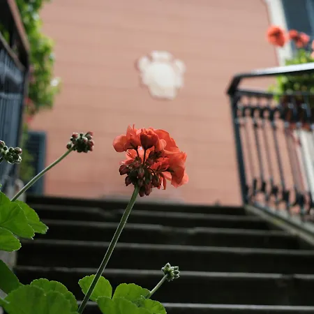 Casa Del Priore Alojamento de Acomodação e Pequeno-almoço *