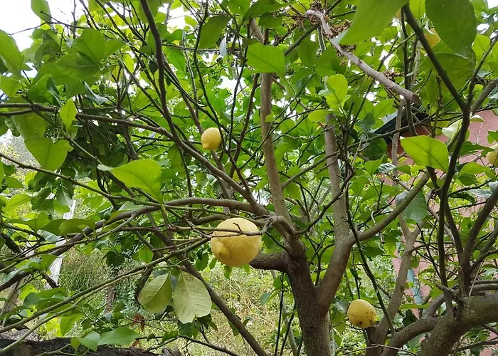 B&B Casa Del Priore 세스트리레반떼