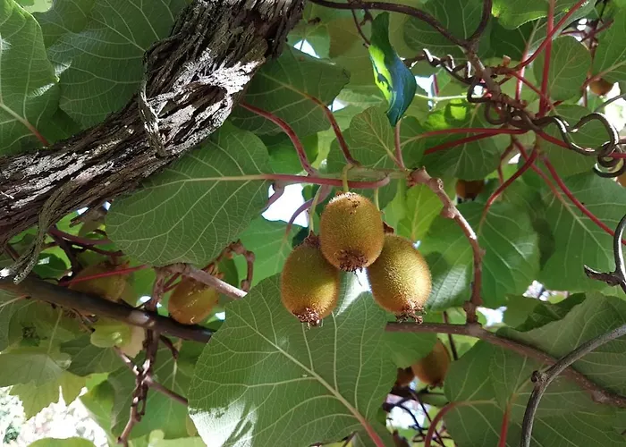 Casa Del Priore B&B *